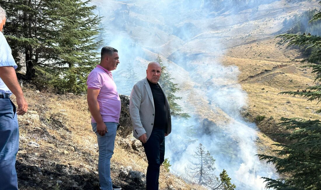 Orman yangını kontrol altına alınırken, Ekinözü Belediye Başkanı Harun Vicdan,