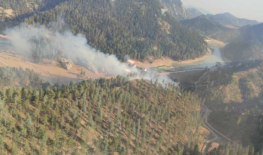 Osmaniye’nin Sumbas ilçesinde Bağdaş Yaylası’nda çıkan orman yangınına hızlı bir
