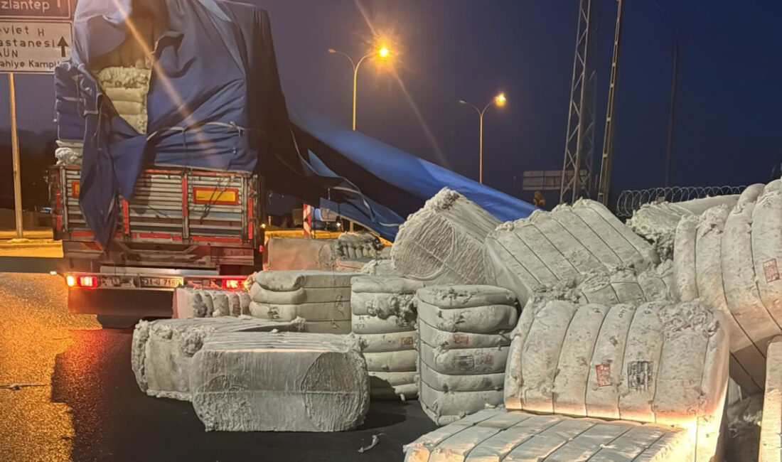 İslahiye ilçesinde bir TIR’ın dorsesinde bulunan pamuk balyaları, gece saatlerinde