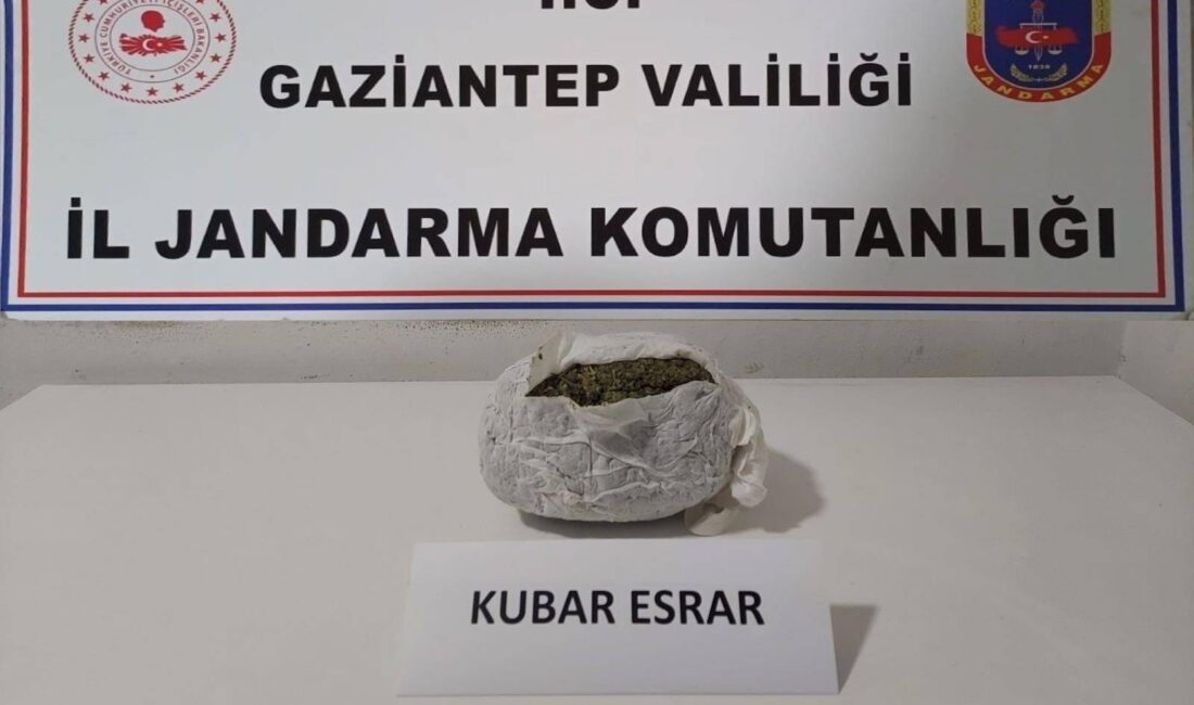 Gaziantep’te jandarma ekipleri, otoyolda durdurdukları bir yolcu otobüsünde yaptıkları aramada
