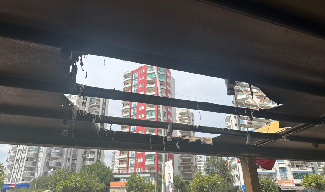 Adana’da yaşanan olayla ilgili acil çağrı: “Yaşadığımız durum çok vahim!”