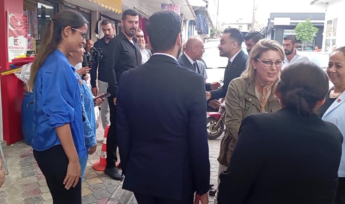 CHP Kadın Kolları Genel Başkanı ve Osmaniye milletvekili Asu Kaya,