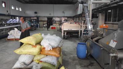 Kadirli’de yeni makineler ile hizmet veren Demiralay Zeytin Yağ fabrikasının