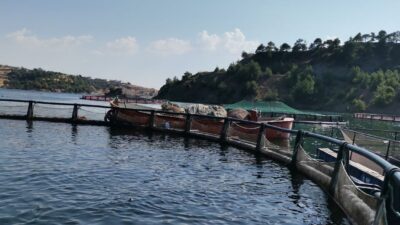 Kahramanmaraş’ta, Menzelet Barajı’nda olta ile ala balık tutma yarışması düzenlendi.