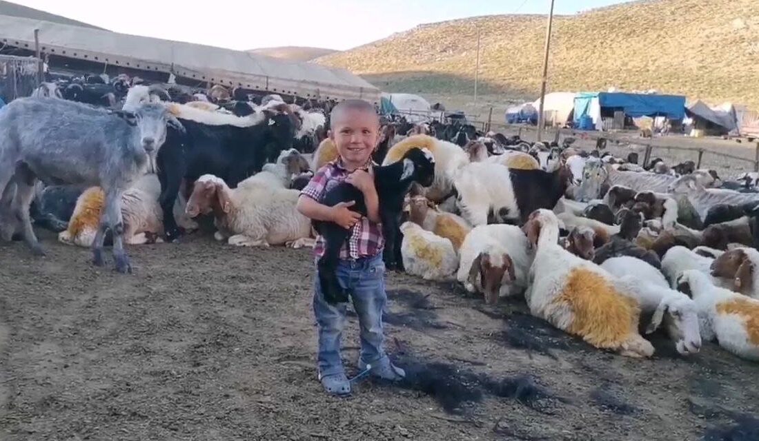 Kahramanmaraş’ın 1800 rakımlı yaylalarında göçerler şehir ve ülke ekonomisine katma