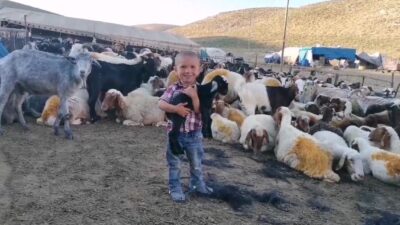 Kahramanmaraş’ın 1800 rakımlı yaylalarında göçerler şehir ve ülke ekonomisine katma