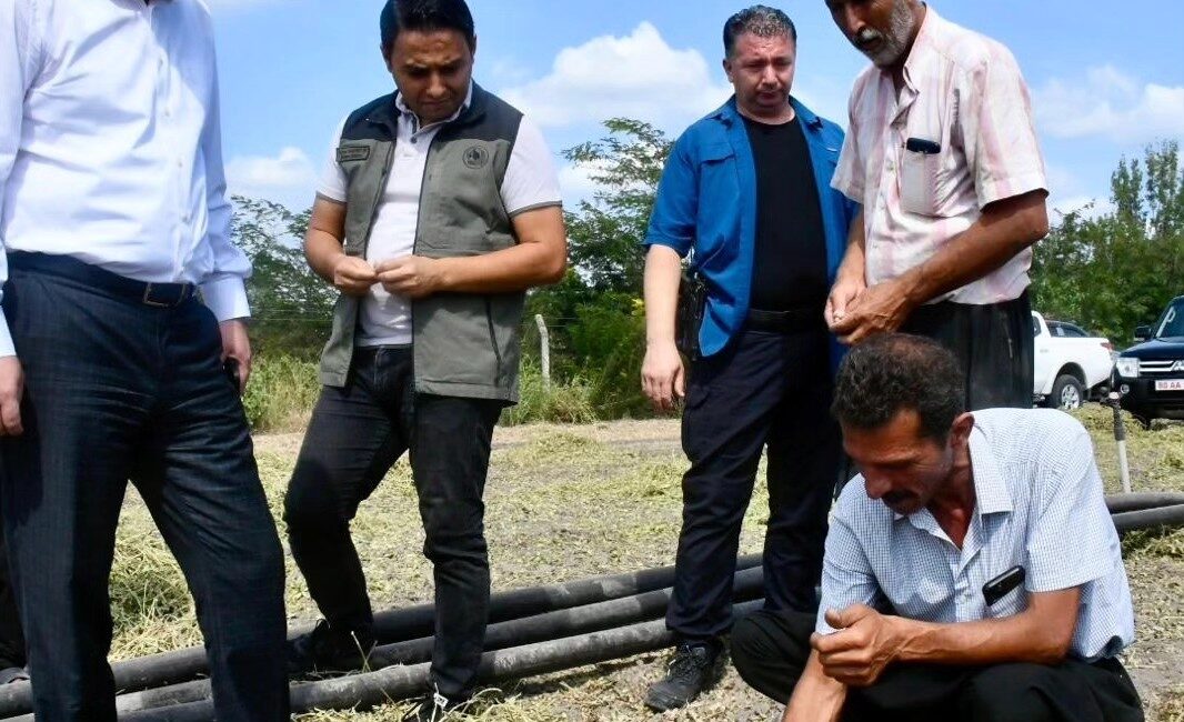 Kadirli’de yer fıstığı hasadı heyecanı başladı. Kadirli Kaymakamı Erdinç Dolu,