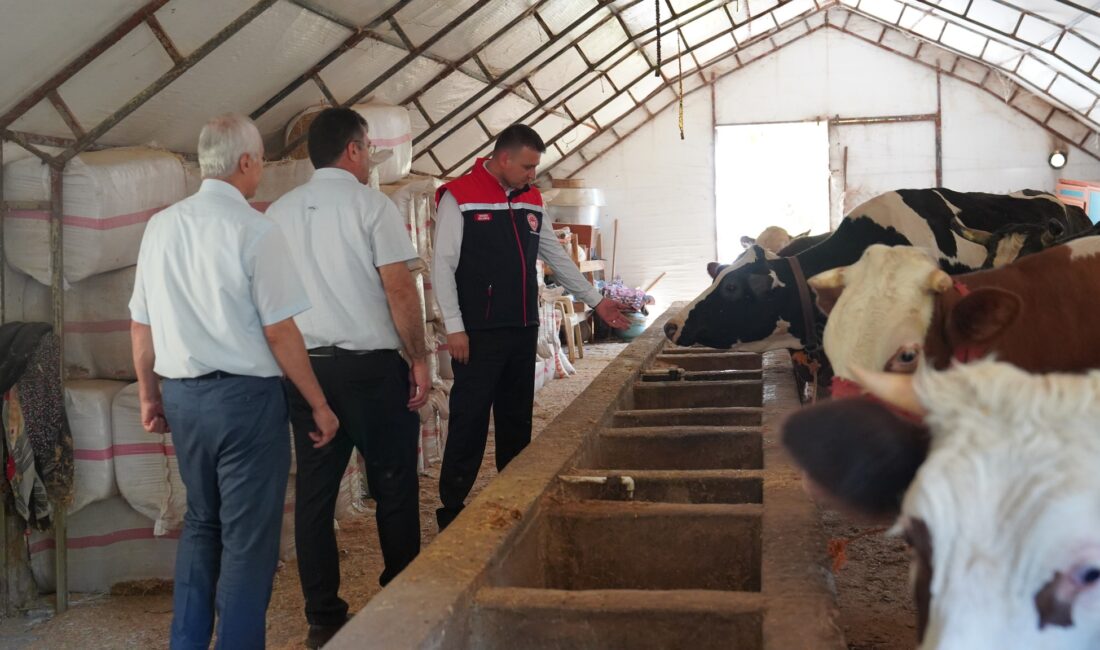 Osmaniye’de İl Tarım ve Orman Müdürlüğü, depremzede besicilere yönelik yüzde