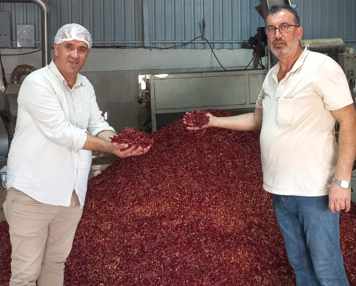 Dünyaca ünlü acı biberiyle tanınan Kahramanmaraş’ta biber üretici dans ettiren