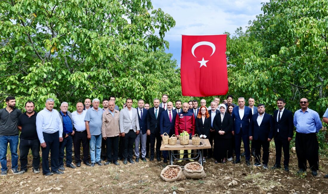 Avcılar Mahallesi’nde düzenlenen Ceviz Hasat Şenliği’ne katılan Onikişubat Belediye Başkanı