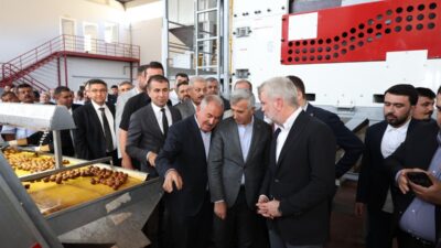 Kahramanmaraş Valisi Mükerrem Ünlüer, 8. Çağlayancerit Ceviz ve Kültür Festivali’ne