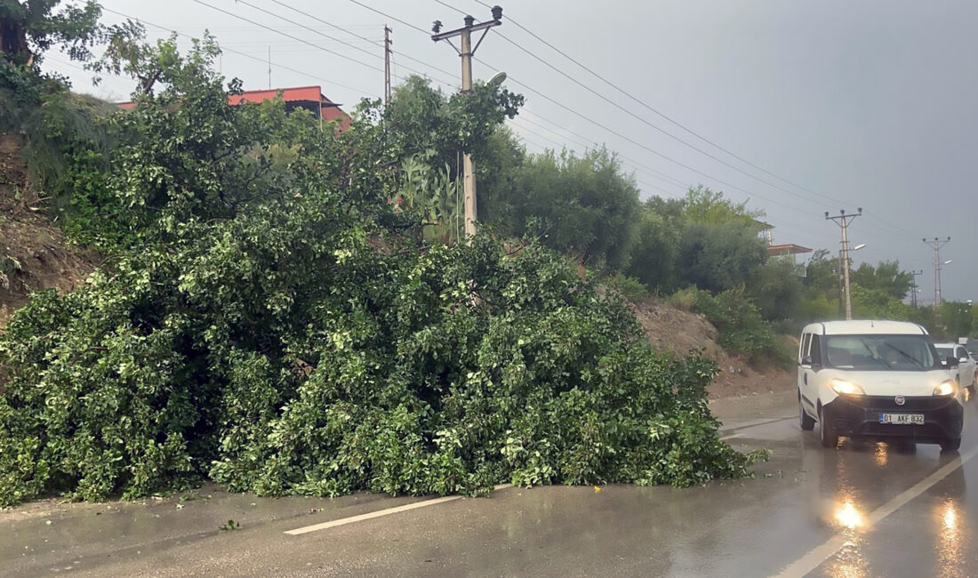 Adana ve Osmaniye’nin yüksek kesimlerinde meydana gelen fırtına, ağaçları ve