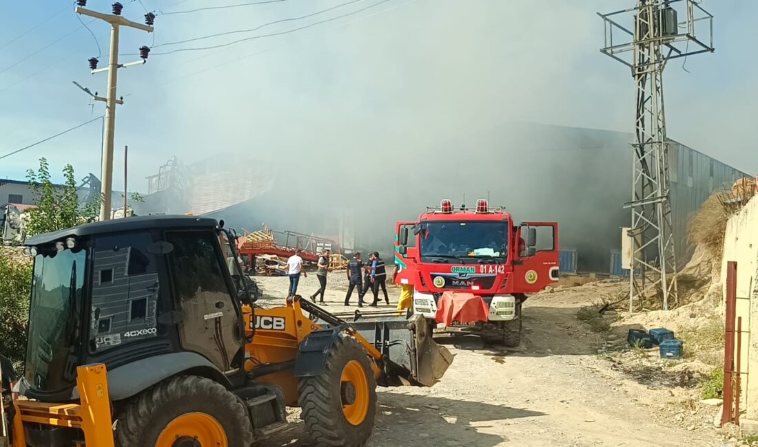 Adana’nın Kozan ilçesinde bulunan bir narenciye paketleme tesisinde çıkan yangına,