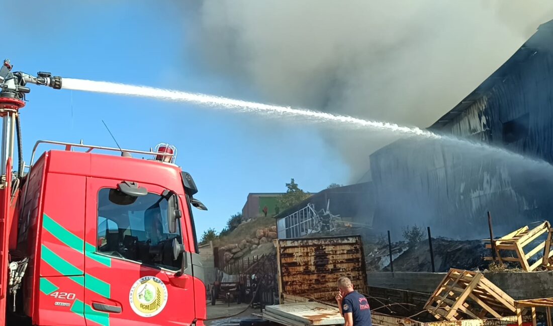 Adana’nın Kozan ilçesinde bulunan bir narenciye paketleme tesisinde yangın çıktı.