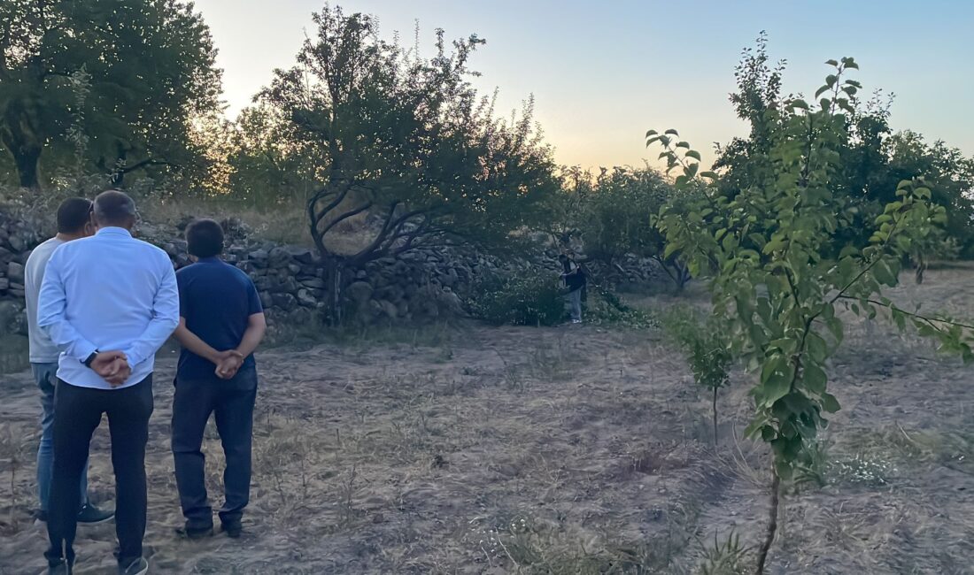 Kayseri’nin Hacılar ilçesinde 92 yaşındaki Musa Mete, budama yapmak için