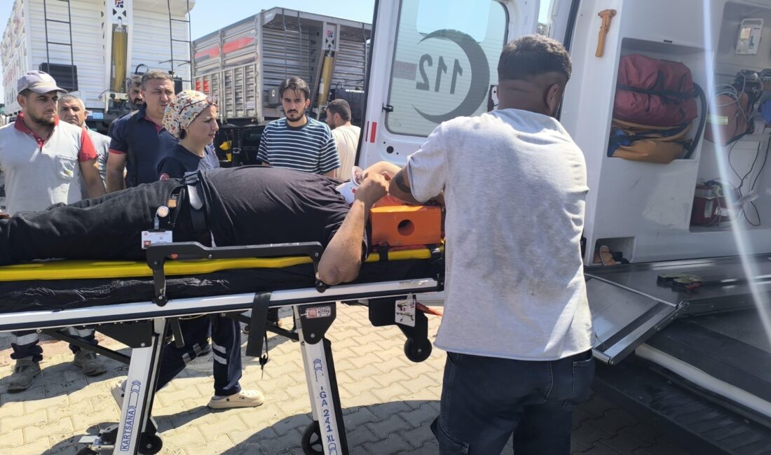 Adıyaman’ın Kahta ilçesinde temizlik işçisi olarak çalışan Kadir Çoban, seyir