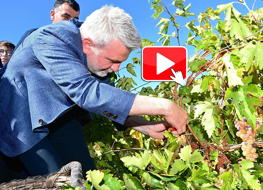 Dulkadiroğlu Budaklı Mahallesi’nde gerçekleştirilen Geleneksel Bağbozumu Günleri etkinliğine katılan Başkan