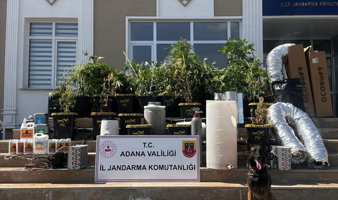 Adana’da Uyuşturucu Operasyonu: İklimlendirme Sistemleriyle Hint Keneviri Yetiştiriliyordu Adana’nın Çukurova