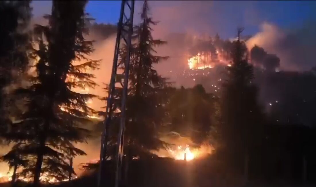 Kahramanmaraş’ta bir orman yangını meydana geldi. Yetkililer, alevlerin kontrol altına