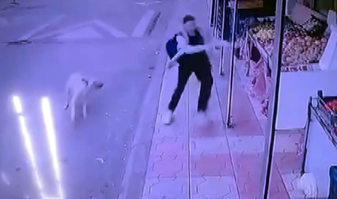 Kahramanmaraş’ta bir öğrenci, okul servisini beklerken sokak köpeğinin saldırısına maruz