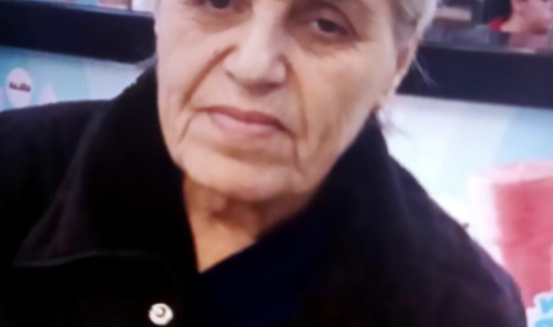 Adana’da Necla Karakuş (75) isimli kadın, yolun karşısına geçerken otomobilin
