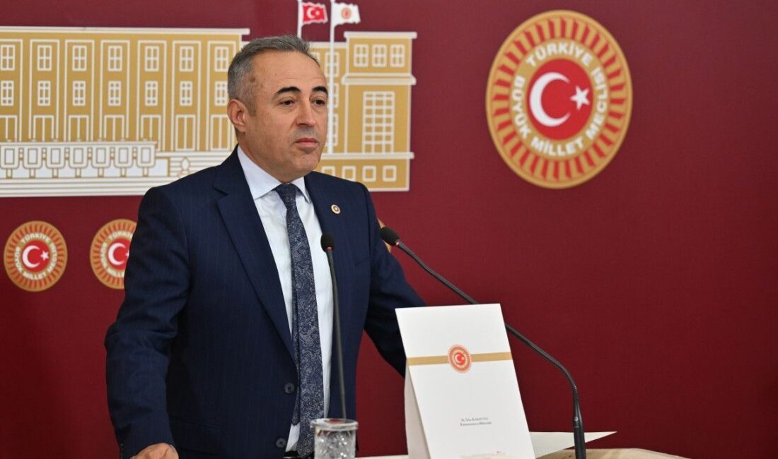DEVA Partisi Kahramanmaraş Milletvekili Dr. İrfan Karatutlu, Türkiye Büyük Millet