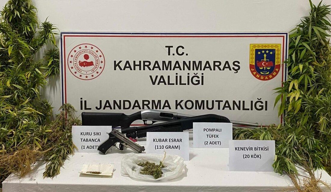 Kahramanmaraş’ta jandarma ekipleri düzenlediği operasyonla evinde keneviri yetiştiren 1 kişi