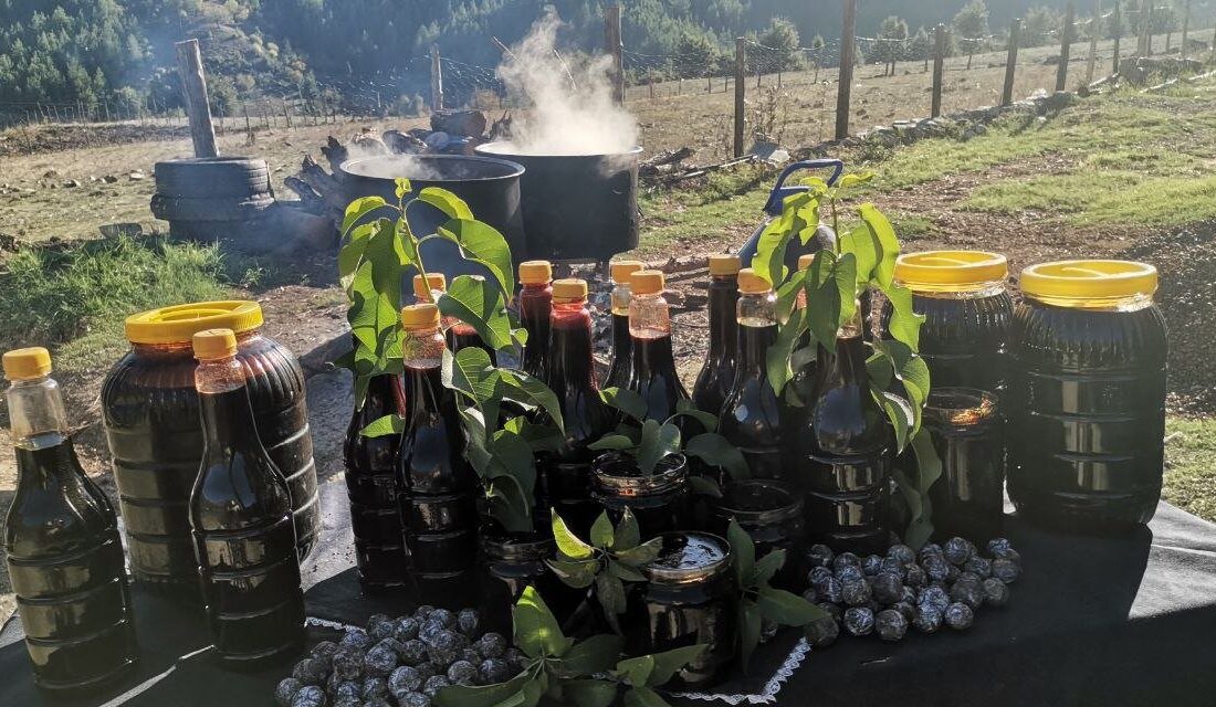 Kahramanmaraş'ın Andırın ilçesi Elmadağ bölgesinde, benzersiz ve sağlıklı bir doğal