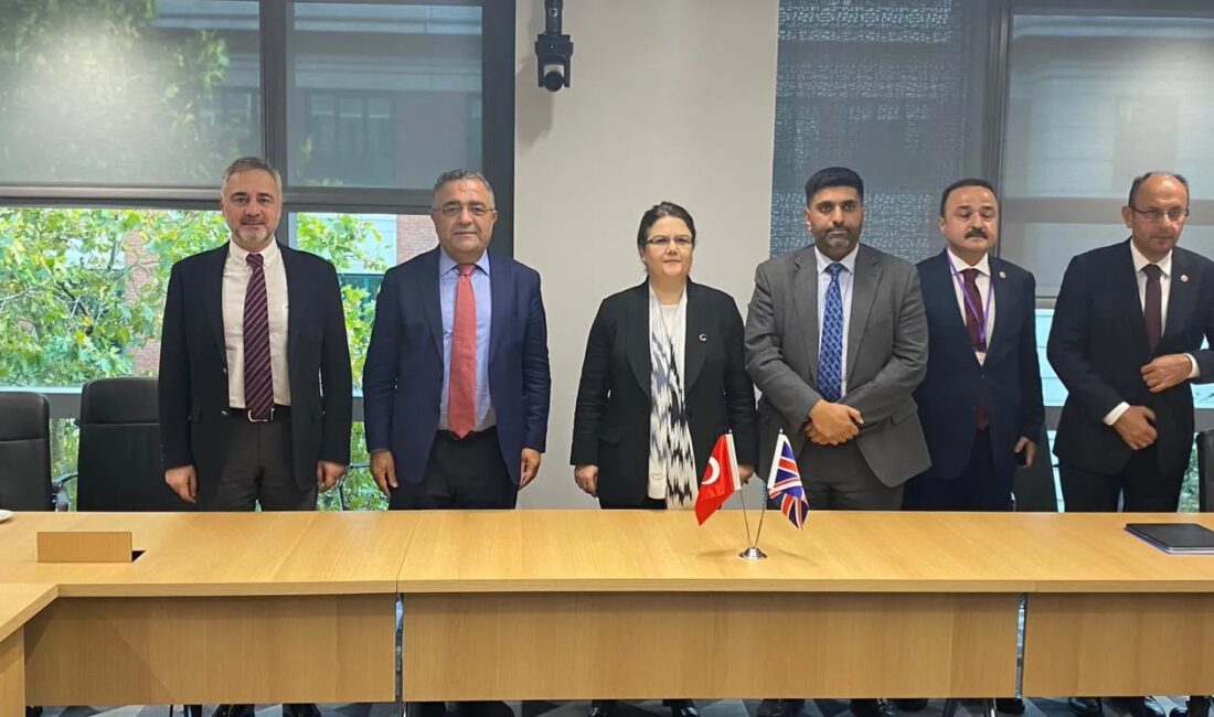 Osmaniye AK Parti Milletvekili, Aile ve Sosyal Hizmetler Eski Bakanı