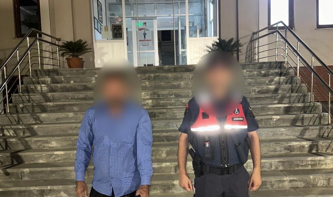 Kadirliye bağlı Yoğunoluk Köyünde hırsızlar 7 adet küçükbaş hayvanı çalarak