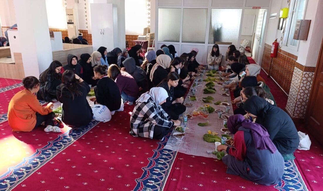 Kadirli İlçe Milli Eğitim Müdürlüğü’ne bağlı lise okullarında okuyan gönüllü