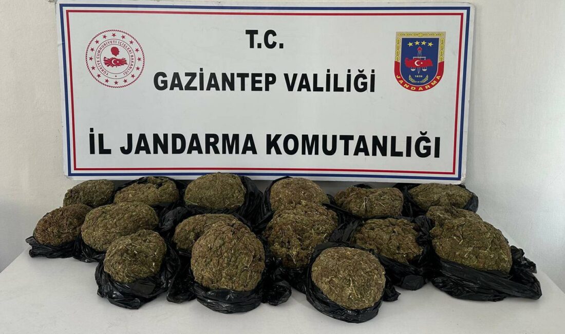 GAZİANTEP, – GAZİANTEP’te, jandarma ekiplerinin düzenlediği operasyonda 18,5 kilo skunk
