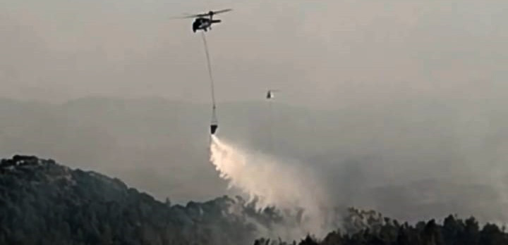 Kadir ÇELİK/İSLAHİYE (Gaziantep), – GAZİANTEP’in İslahiye ilçesinde 5 ayrı noktada