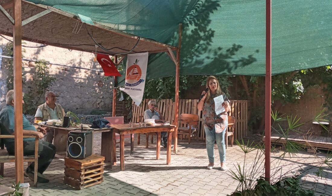 Kadirli ilçesindeki kültür ve sanat insanları, “6. Akdeniz Sanat Günleri”