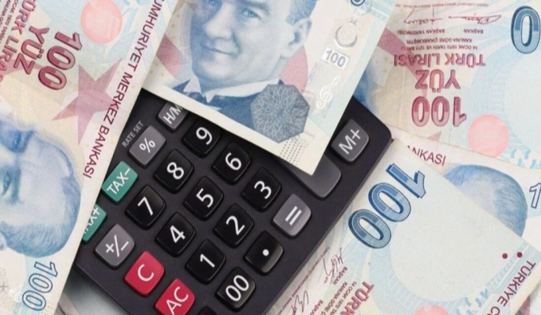 Türkiye'de 2025 yılında uygulanacak vergi, harç ve cezalarda artışlar olacak.