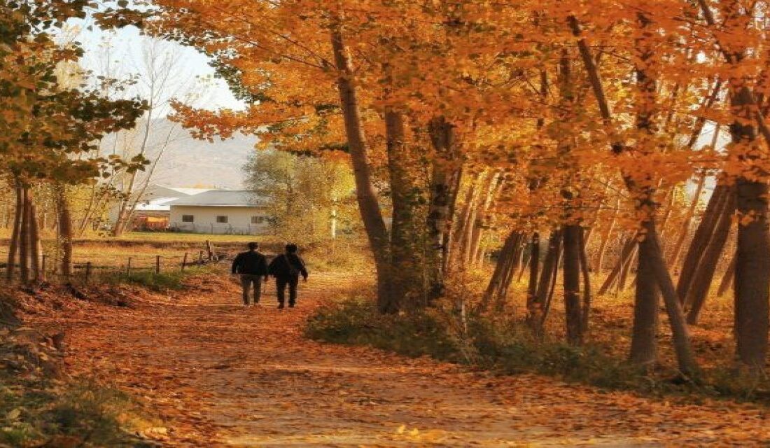 Kahramanmaraş-Osmaniye sınırında yer alan Düldül Dağı, sonbahar mevsiminde adeta bir