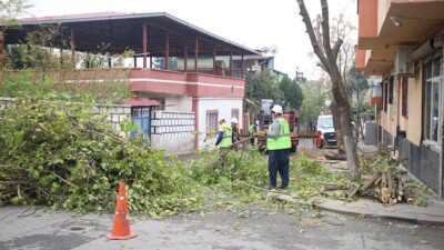 Dulkadiroğlu Belediyesi, yeşil alanların korunması ve daha yaşanabilir bir çevre
