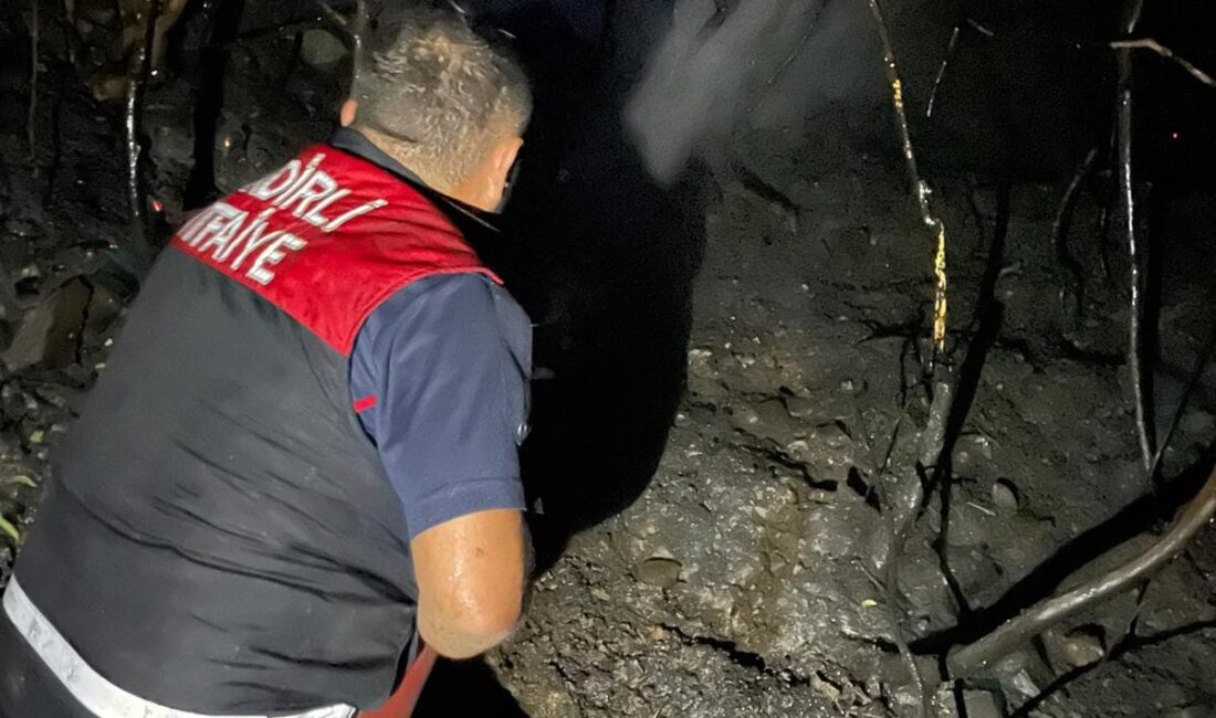 Hatay’ın Arsuz ilçesine bağlı Kozaklı Mahallesi’nde başlayan orman yangınına Kadirli