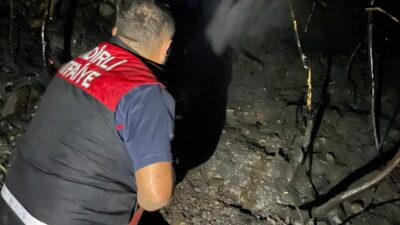 Hatay’ın Arsuz ilçesine bağlı Kozaklı Mahallesi’nde başlayan orman yangınına Kadirli