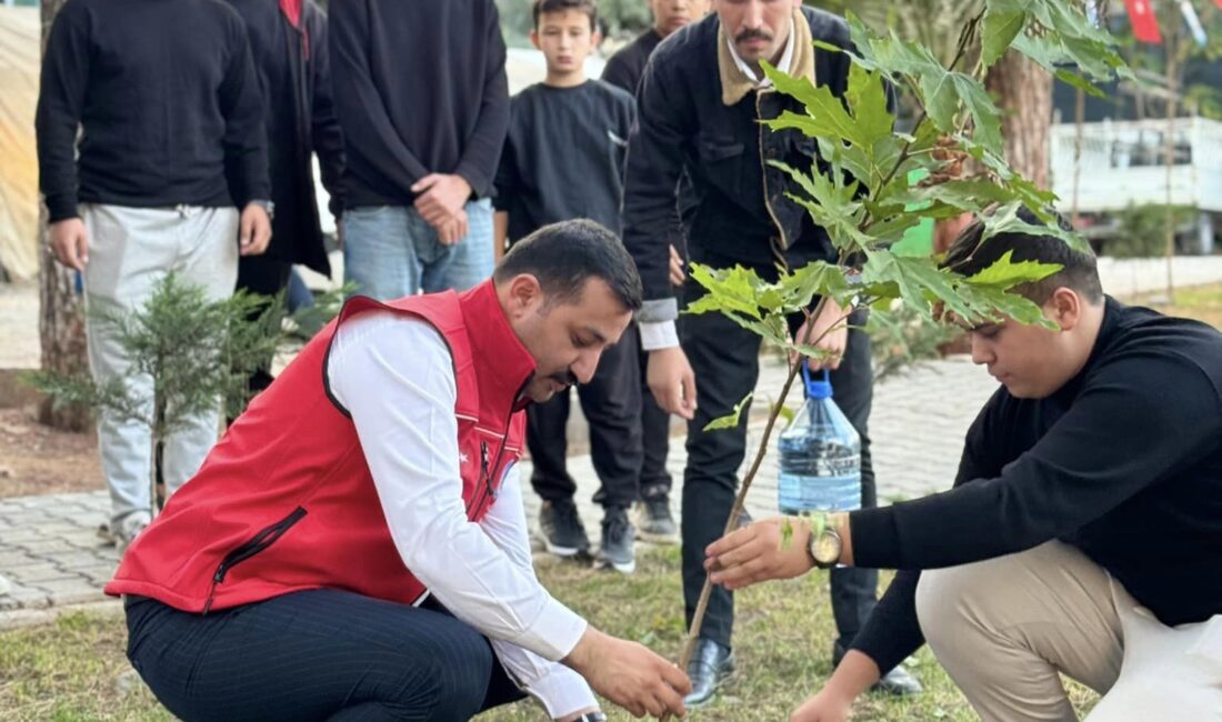 Osmaniye Ülkü Ocakları İl Başkanlığı, Milli Ağaçlandırma Günü dolayısıyla çınar