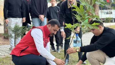 Osmaniye Ülkü Ocakları İl Başkanlığı, Milli Ağaçlandırma Günü dolayısıyla çınar