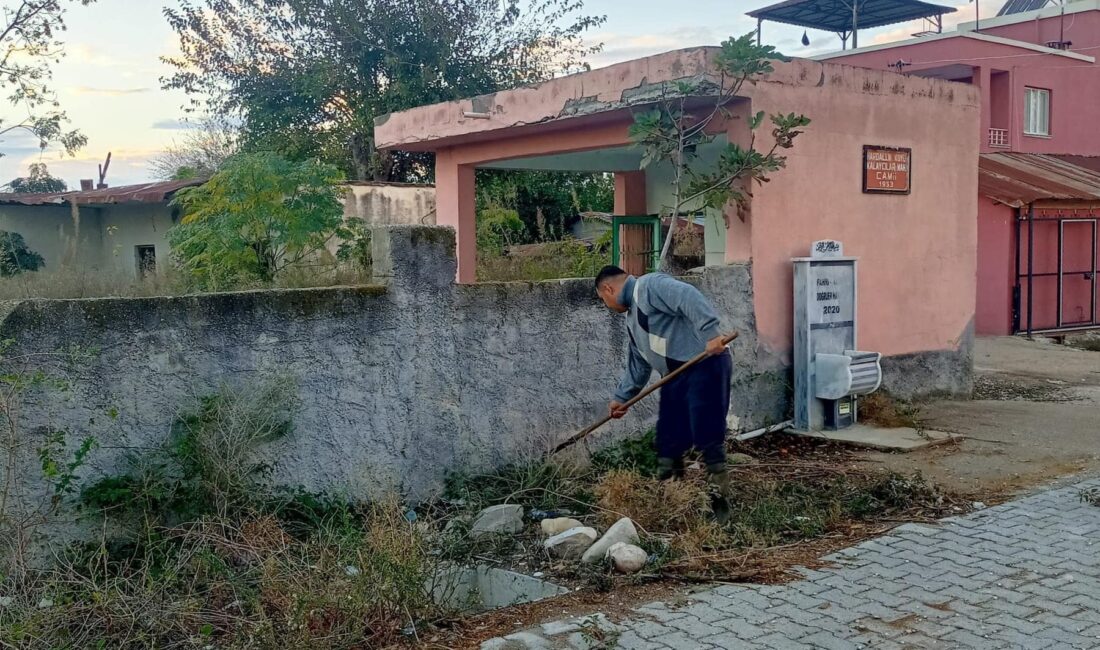Sonbahar mevsimin son günlerini yaşadığımız şu günlerde Hardallık Köyünde hummalı