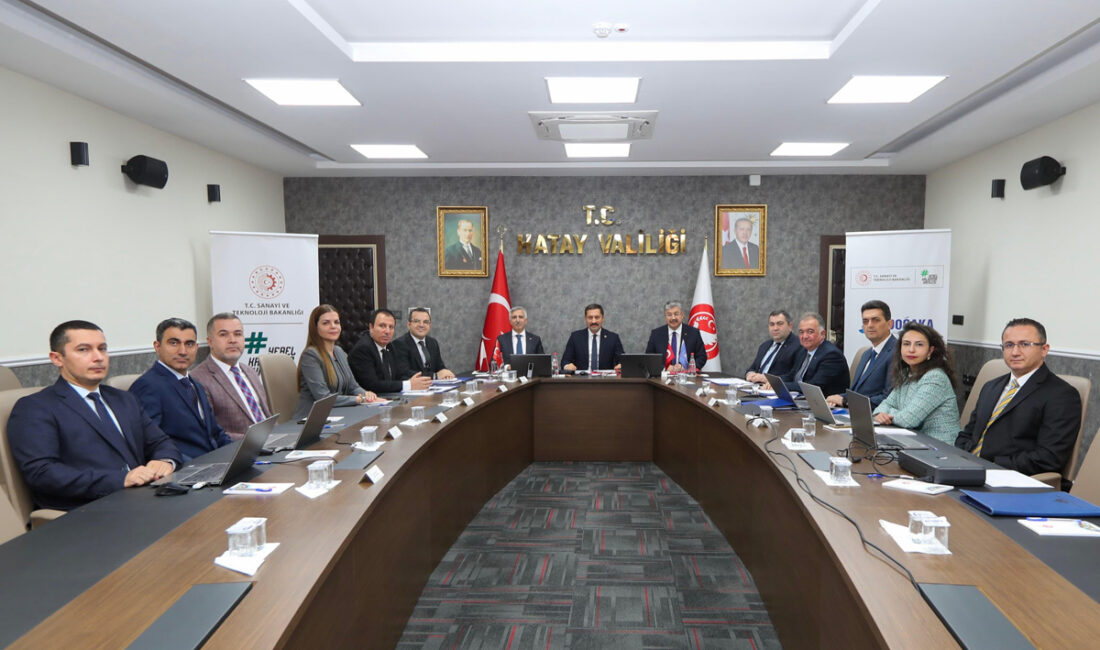 Doğu Akdeniz Kalkınma Ajansı’nın 116. Yönetim Kurulu Toplantısı, Hatay Valisi