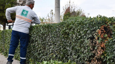 Osmaniye Belediyesi’nin “Sokak Kuaförleri” bilinen Park ve Bahçeler Müdürlüğü ekipleri,