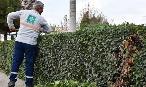 Osmaniye Belediyesi’nin “Sokak Kuaförleri” bilinen Park ve Bahçeler Müdürlüğü ekipleri,