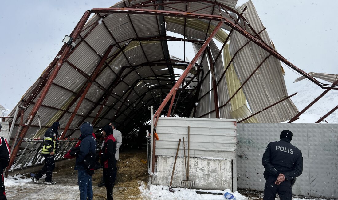 Furkan KAVUKLU/KAYSERİ, – KAYSERİ’de çatıda biriken kar nedeniyle çöken ahırda