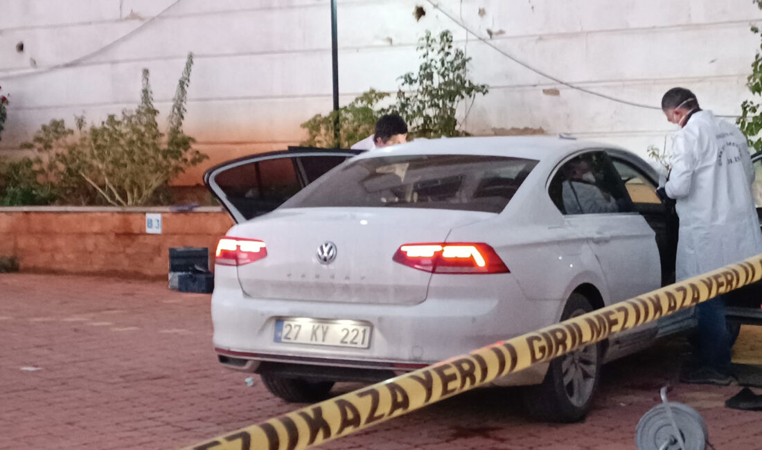 Kadir ÇELİK/İSLAHİYE (Gaziantep), – DEVA Partisi Gaziantep Milletvekili Ertuğrul Kaya’nın