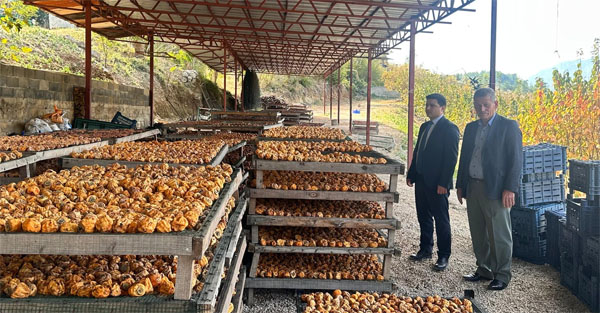 SUMBAS KAYMAKAMI KÖROĞLU, HURMA KURUTMA TESİSİNİ ZİYARET ETTİ Sumbas Kaymakamı