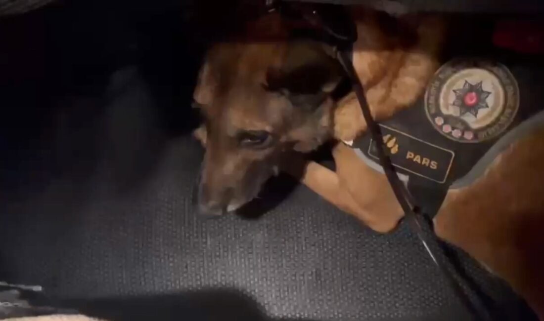 İbrahim EMÜL/OSMANİYE, – OSMANİYE’de uygulama noktasında durdurulan TIR’da narkotik köpeği