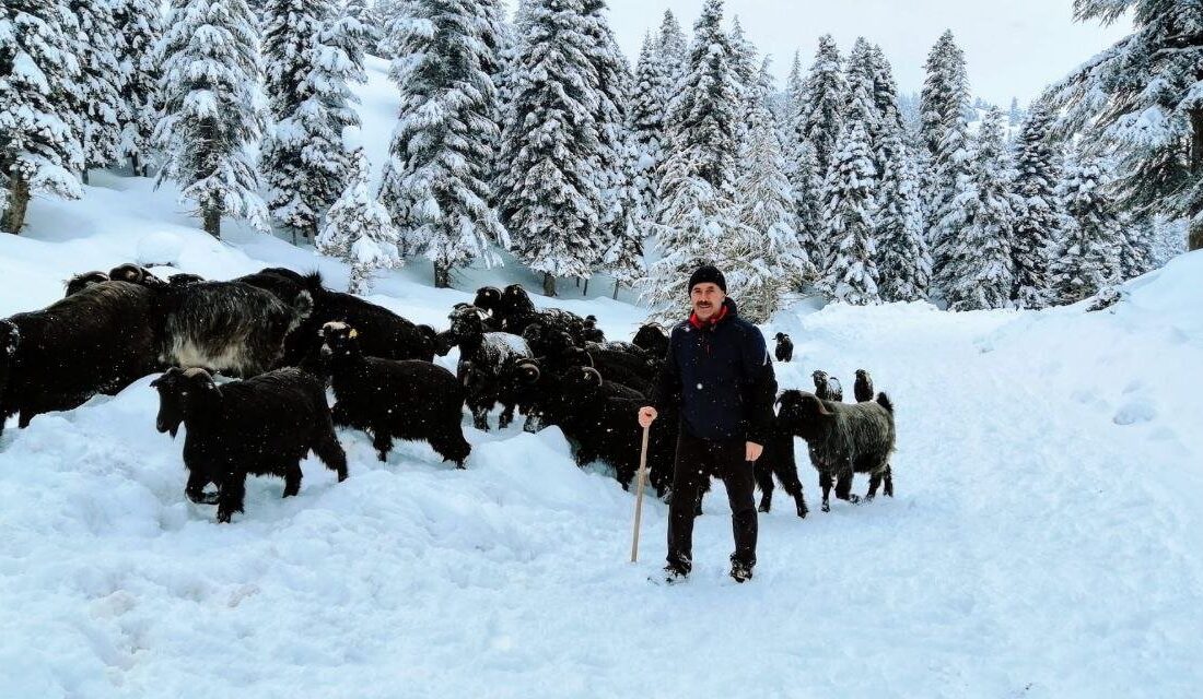 Kahramanmaraş'ta etkili olan kar nedeniyle kuzey ilçeleri beyaza büründü. 